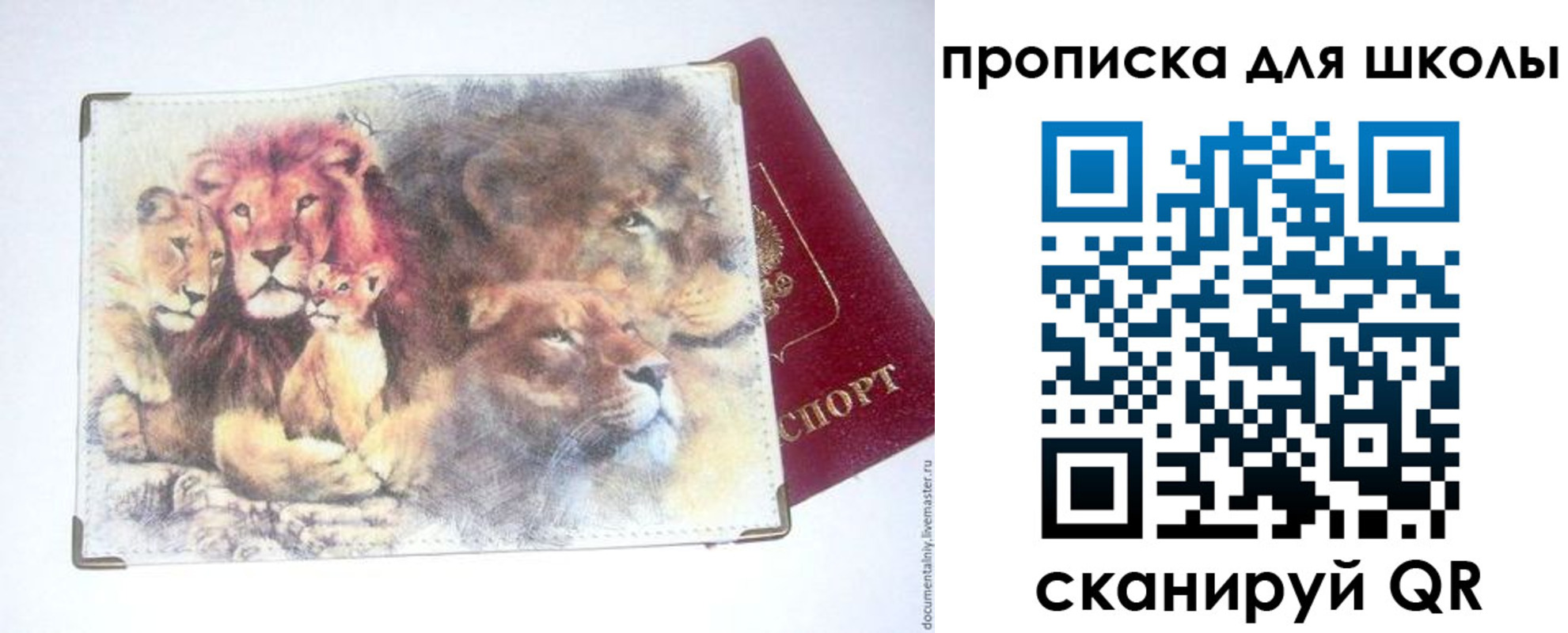 временная регистрация гарантия в Киришах